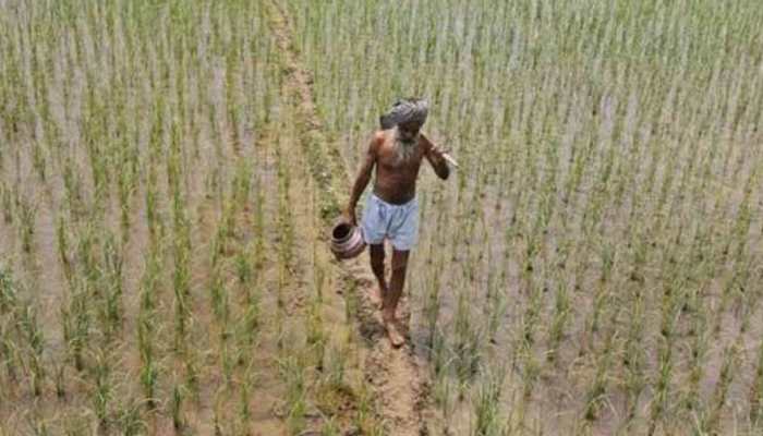 Telangana govt releases Rs 6900 crore for farmers support scheme