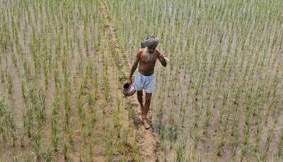 Telangana govt releases Rs 6900 crore for farmers support scheme