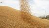 India foodgrain