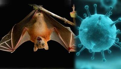 How Nipah infection is different from swine flu, bird flu