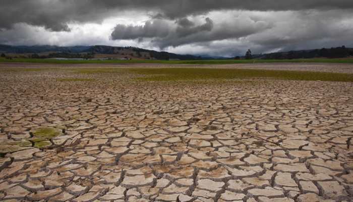 Auckland City declares a climate emergency