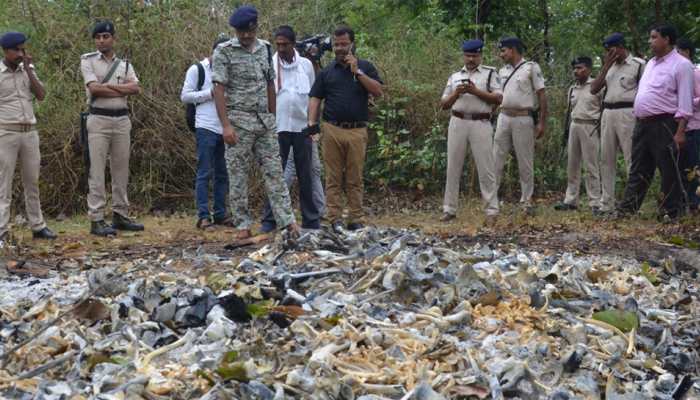 Unclaimed bodies were not cremated, probe on: Bihar Minister after skeletons found near hospital