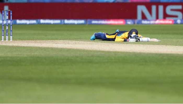  World Cup 2019: Bees attack temporarily interrupt Sri Lanka vs South Africa game 