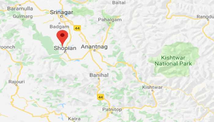 One terrorist killed in encounter with security forces in Jammu and Kashmir's Shopian