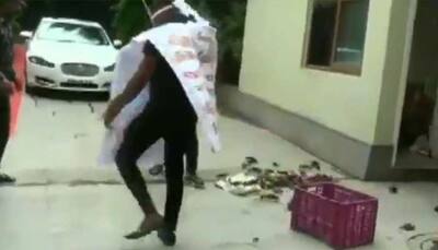 NCP floods Maharashtra minister's house with live crabs after his dam breach comment - Watch