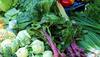High-fibre diet cuts preeclampsia risk during pregnancy