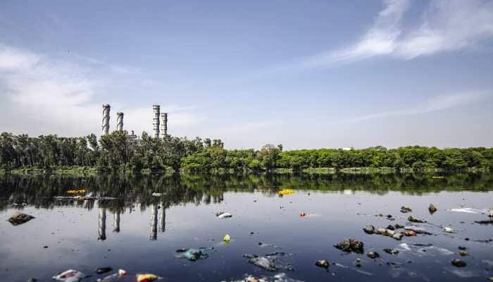 Human waste an asset to economy, environment: Study