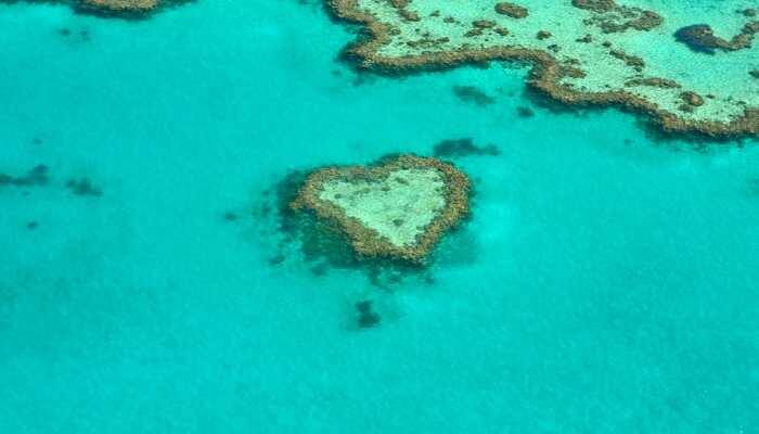 Great Barrier Reef facing unprecedented challenges