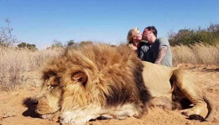 Canadian couple slammed online for kissing behind dead lion in safari photo