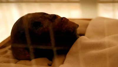 Tutankhamun golden coffin under restoration for the first time