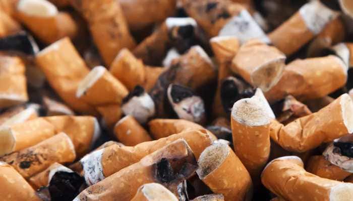 Cigarette butts significantly damage plant growth