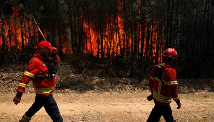 Portugal wildfire under control, firefighters remain on the ground