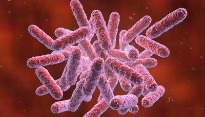 Chinese scientists create super bacterium which may spark superhuman race