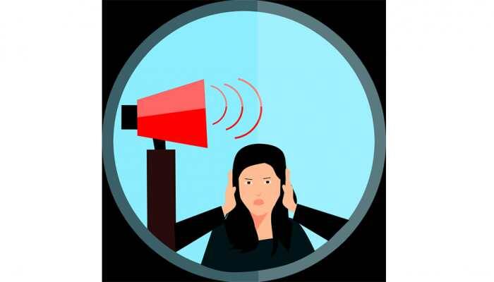 Punjab and Haryana High Court bans loudspeakers to curb noise pollution