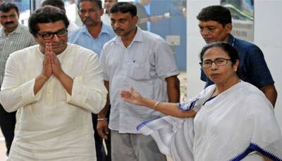 Raj Thackeray meets Mamata Banerjee, asks her to join his call for ballot boxes