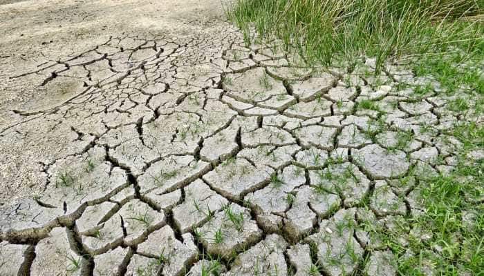 Goa ropes in NABARD subsidiary for climate change study