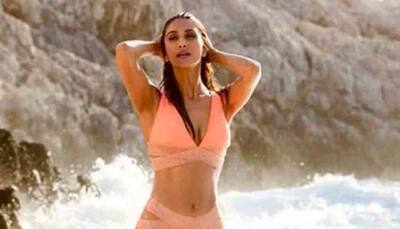 The fuss around Vaani Kapoor's latest bikini photo - Deets inside