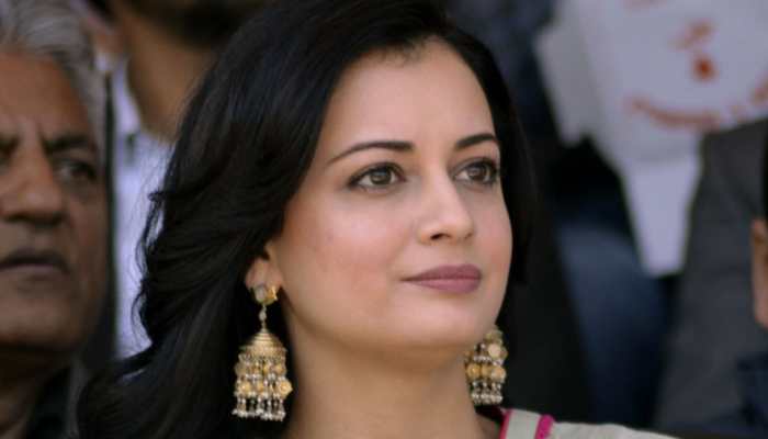 Don't blame Kanika Dhillon for my broken marriage: Dia Mirza Don't blame Kanika Dhillon for my broken marriage: Dia Mirza