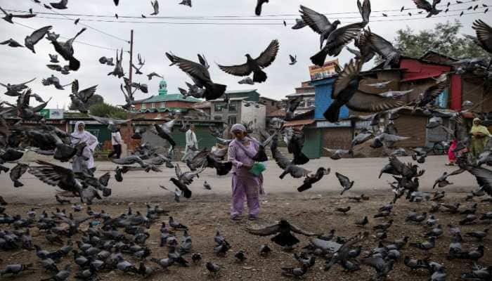 Not a single bullet fired in J&amp;K, all is peaceful: Principal Secretary Rohit Kansal