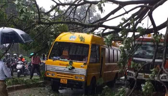 Mangaluru: Massive tree falls on school bus with 17 children inside