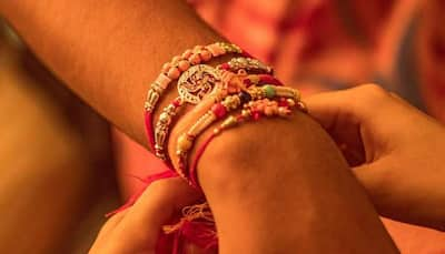 Raksha Bandhan 2019: See your sibling love grow with plantable rakhis