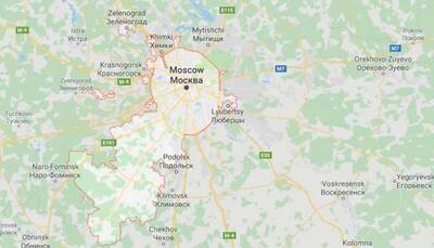 Russian plane makes emergency landing near Moscow after bird strike
