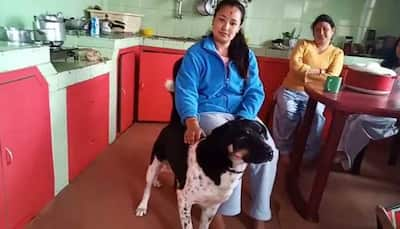 When a dog saved its owner from leopard attack in Darjeeling