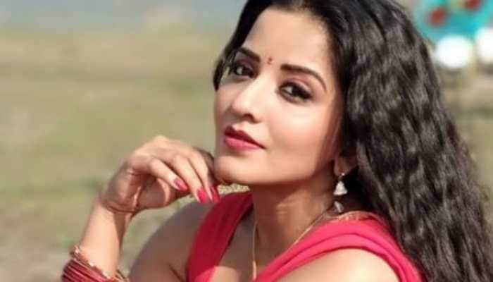 Monalisa is a sight to behold in a sheer grey saree- See pic