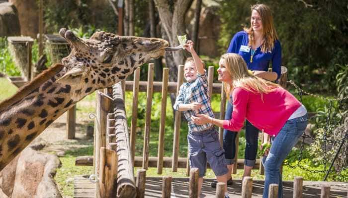 Planning a family trip to California? Here are 11 Tips for your vacay