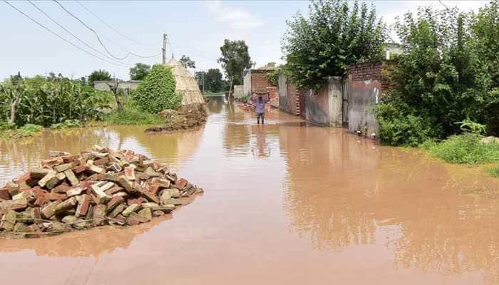 Flood-hit Punjab declares national calamity; situation worsens in north, improves in south India