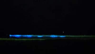 Bioluminescent algae make comeback on Chennai beaches, breathtaking visuals go viral