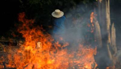 Ecological disaster: Amazon is on fire, Brazil President blames NGOs