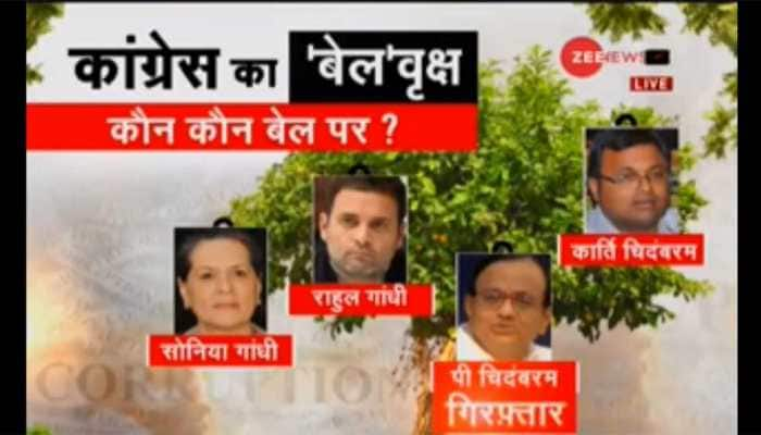 Sonia Gandhi, Rahul Gandhi, Shashi Tharoor among top Congress leaders who are out on bail 