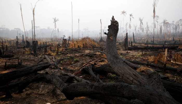 Brazil president Jair Bolsonaro sends army to control Amazon fires