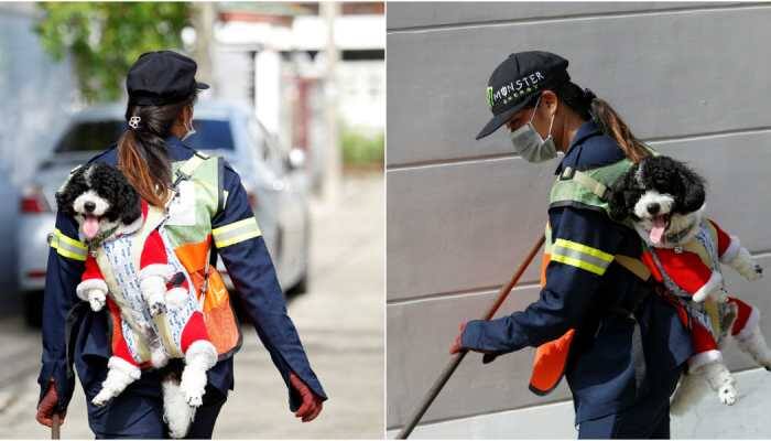 A dog's life: Bangkok street sweeper carries pet to work