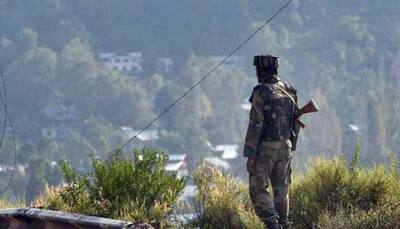 222 ceasefire violations by Pakistan since Centre's scrapping of Article 370 in J&K