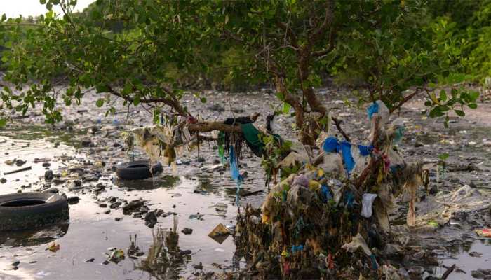 Crucial Cabinet Secretary meet on single-use plastic ban on Tuesday ahead of October 2 deadline