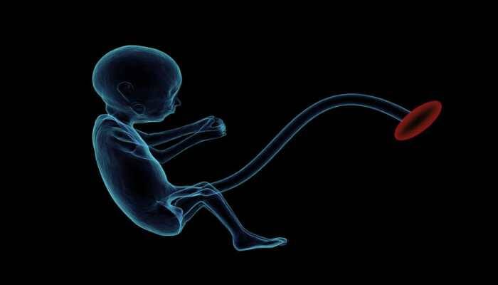 Mother of 11 pregnant for the 17th time in Maharashtra's Beed