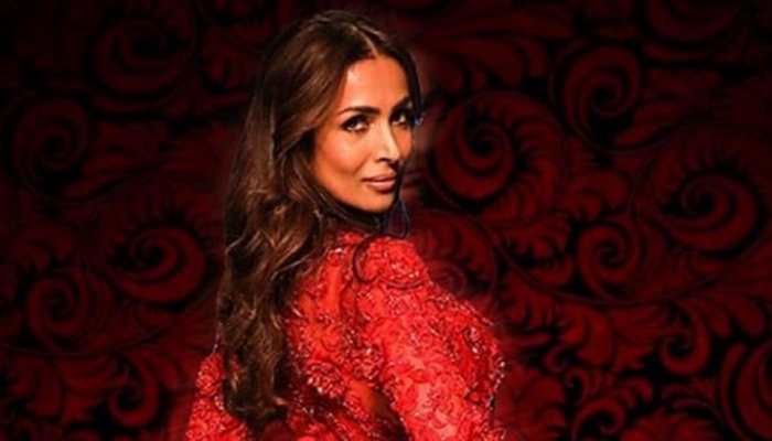 Malaika Arora&#039;s throwback photoshoot pic will leave your jaws on the floor!