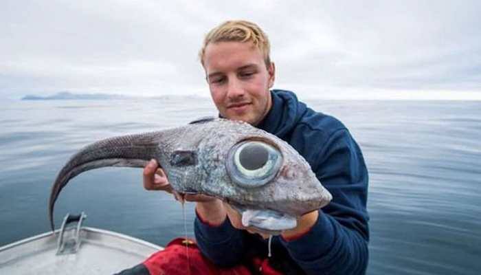 Fisherman catches 'alien-like' fish with huge bulging eyes off Norway's coast