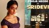 Pooja Hegde's first look as Sridevi in 'Valmiki' unveiled—Pics