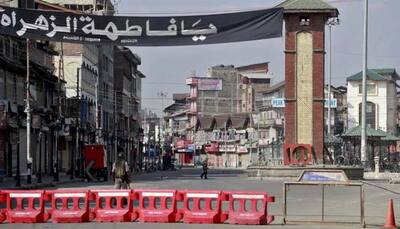 EU Parliament backs India on Jammu and Kashmir, says Pakistani terrorists target Europe