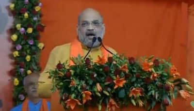 Never asked for imposing Hindi over regional languages: Home Minister Amit Shah