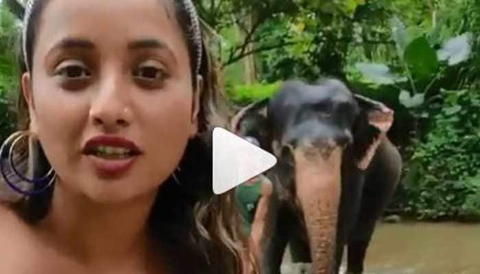 Rani Chatterjee shares a video with an elephant in the background-Watch