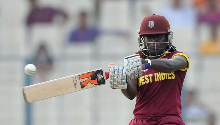 Stafanie Taylor, Lauren Winfield to play for Adelaide Strikers in Women's Big Bash League