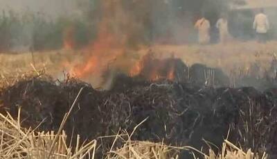 Punjab govt warns farmers on stubble burning