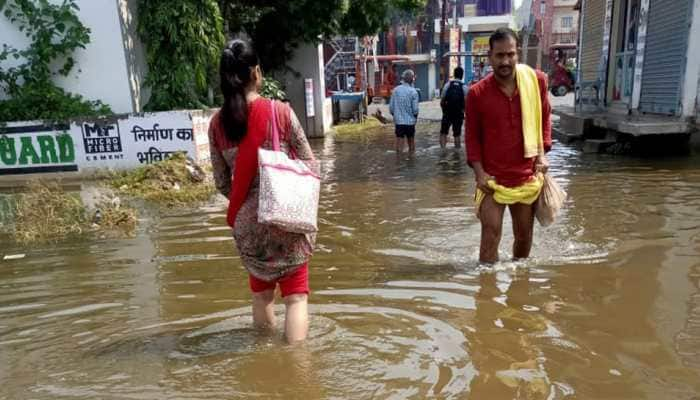 No indication of outbreak of vector-borne disease in Patna: Bihar government