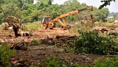 Will not cut any more trees in Aarey, we respect SC's decision: Mumbai metro authority