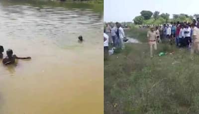 10 people drown in Parbati river during durga idol immersion in Rajasthan's Dholpur