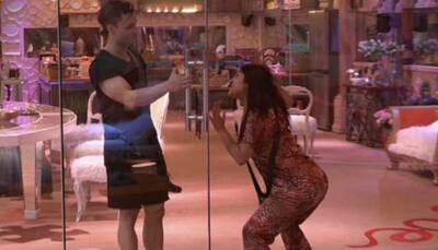 BJP MLA seeks ban on 'Bigg Boss 13', says show is 'spreading vulgarity'